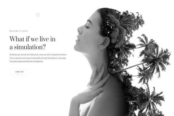 A grayscale image of a woman's profile with tropical trees seamlessly blended into her hair. Text on the left reads What if we live in a simulation? followed by information about building solutions, including insights from Email Performance Analytics.